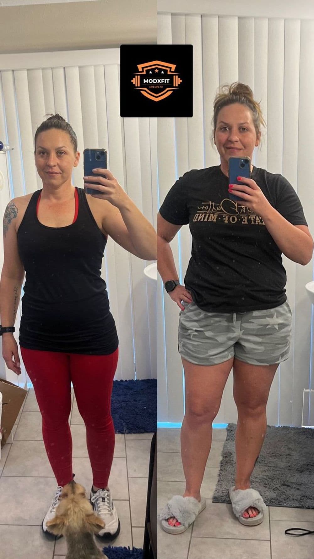 About ModXFit